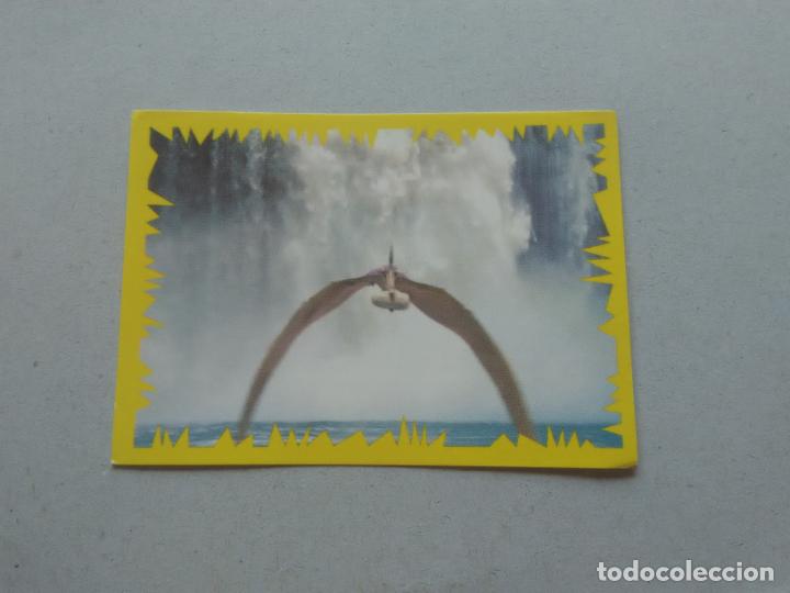 Coleccionismo cromos antiguos: N&ordm; 15 CROMO DINOSAURIO DE PANINI DISNEY - Foto 1