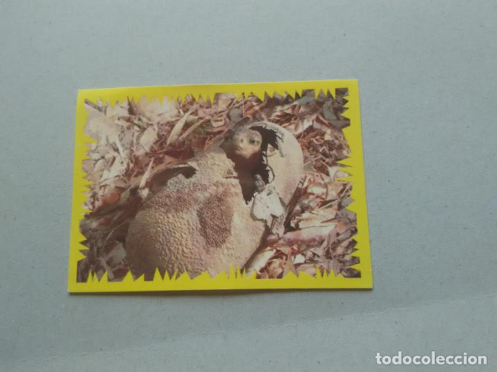 Coleccionismo cromos antiguos: N&ordm; 177 CROMO DINOSAURIO DE PANINI DISNEY - Foto 1