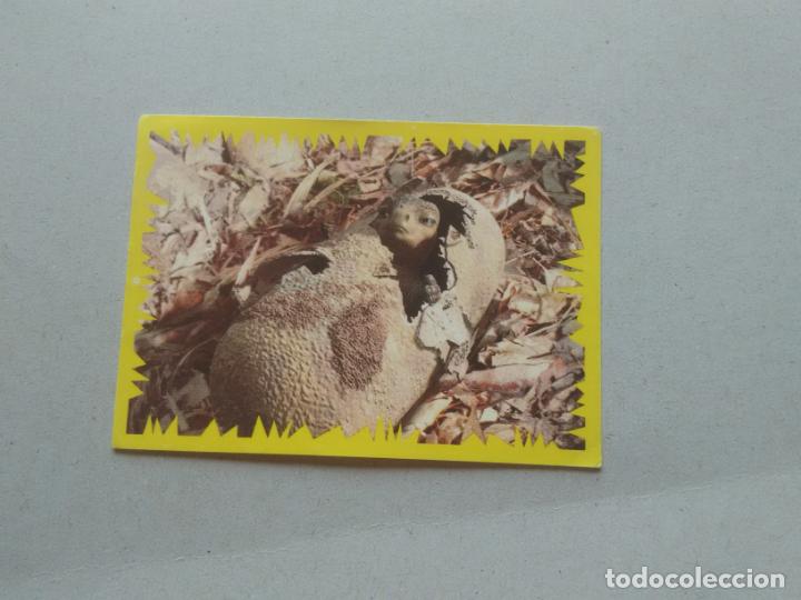 Coleccionismo cromos antiguos: N&ordm; 177 CROMO DINOSAURIO DE PANINI DISNEY - Foto 1
