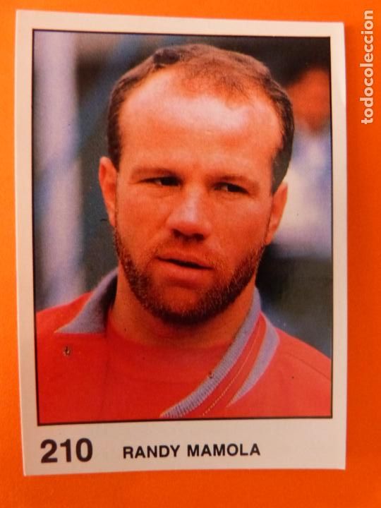 Coleccionismo Cromos antiguos: CROMO DE MOTOS RANDY MAMOLA SIN PEGAR N&ordm; 210 A&Ntilde;O 1990 DEL &Aacute;LBUM SOLO MOTO DE PANINI