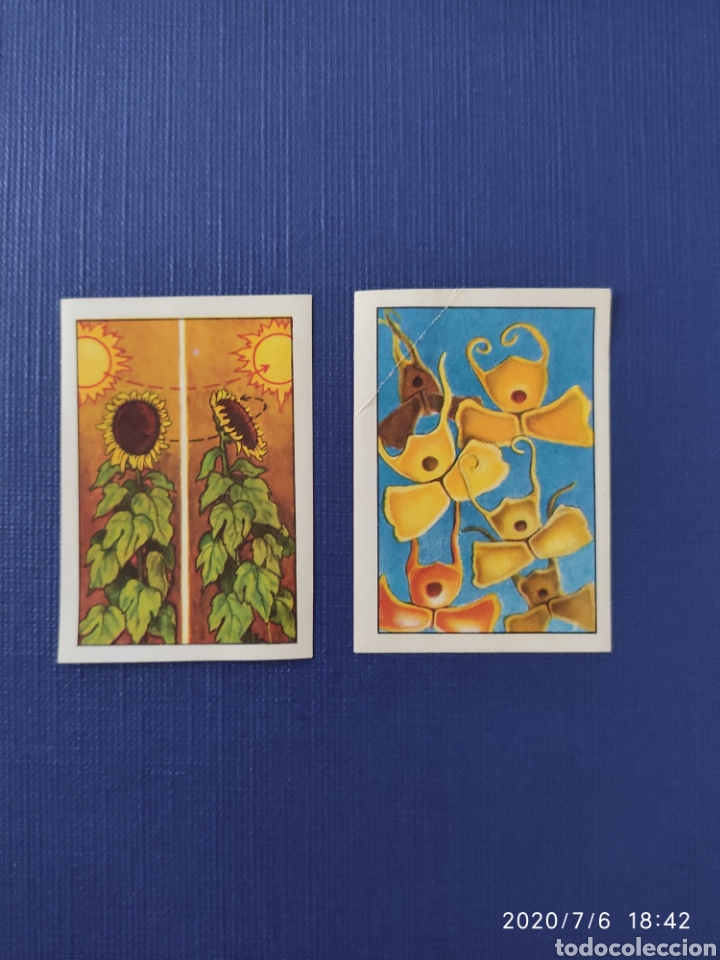 Coleccionismo cromos antiguos: Cromos sueltos N&eacute;stle - Foto 1