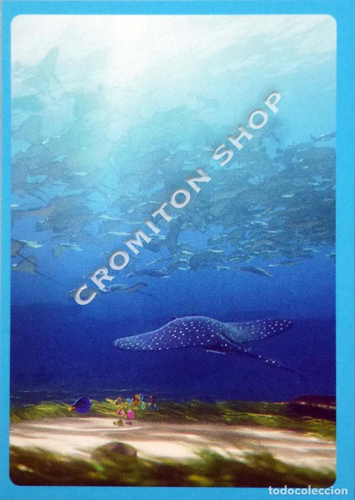 Coleccionismo cromos antiguos: N&ordm; 134 - BUSCANDO A DORY DISNEY PIXAR PANINI - FINDING DORY - Foto 1