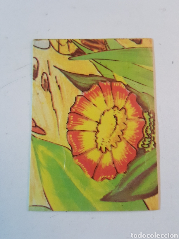 Coleccionismo cromos antiguos: Cromo Abeja Maya Quelcom 1978 N&deg; 192 - Foto 1