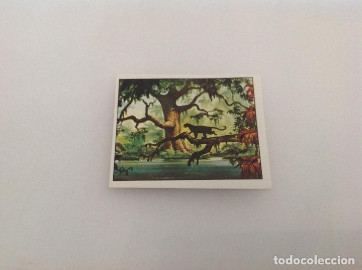 Coleccionismo cromos antiguos: CROMO EL LIBRO DE LA SELVA PANINI N 1 - Foto 1