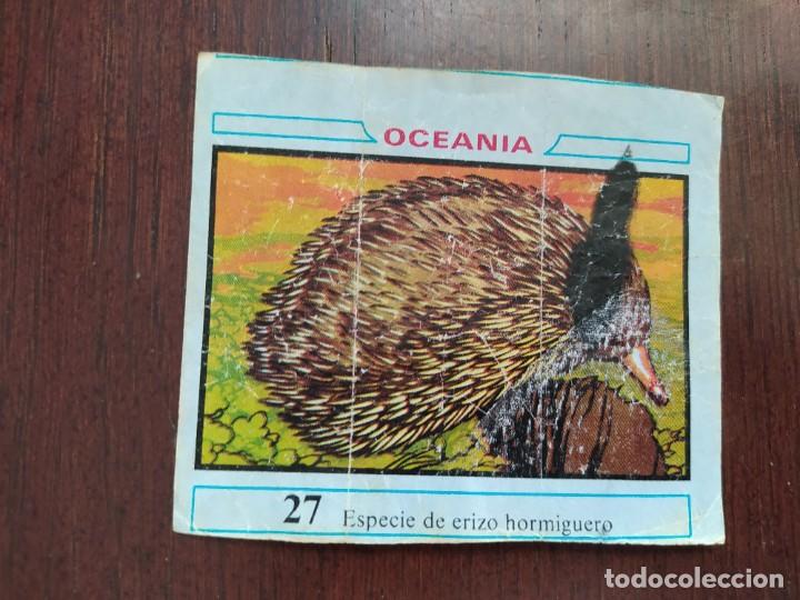 Coleccionismo cromos antiguos: OCEANIA CHICLE DUNKIN 27 - Foto 1
