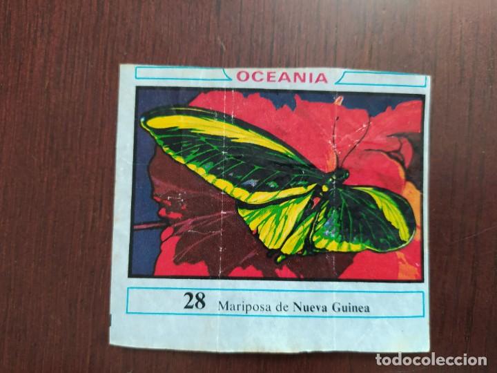 Coleccionismo cromos antiguos: OCEANIA CHICLE DUNKIN 28 - Foto 1