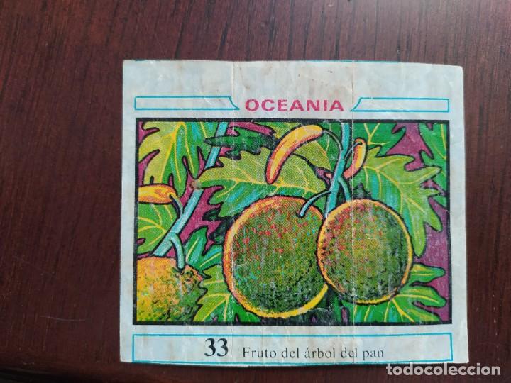 Coleccionismo cromos antiguos: OCEANIA CHICLE DUNKIN 33 - Foto 1