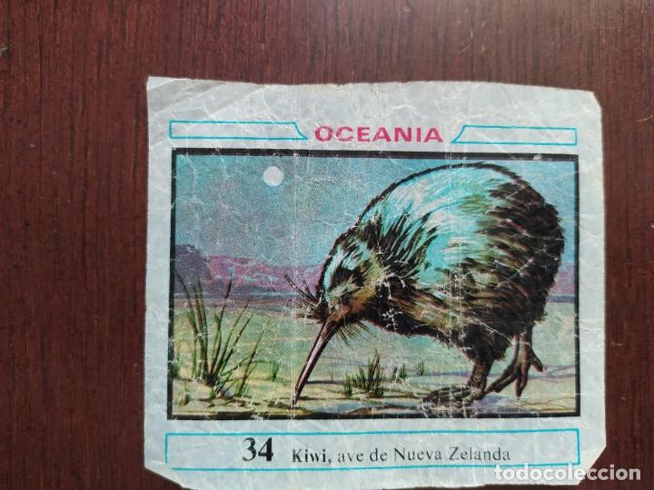 Coleccionismo cromos antiguos: OCEANIA CHICLE DUNKIN 34 - Foto 1