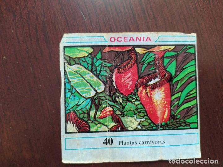 Coleccionismo cromos antiguos: OCEANIA CHICLE DUNKIN 40 - Foto 1