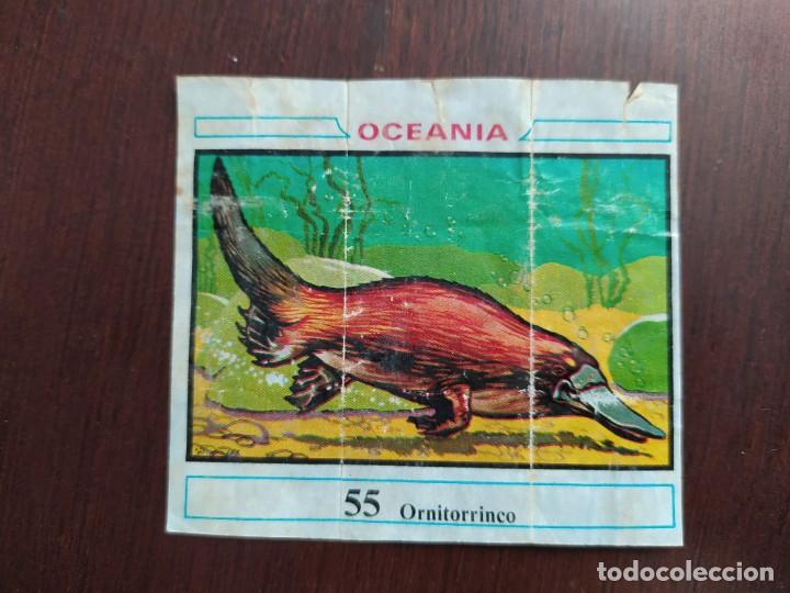 Coleccionismo cromos antiguos: OCEANIA CHICLE DUNKIN 55 - Foto 1