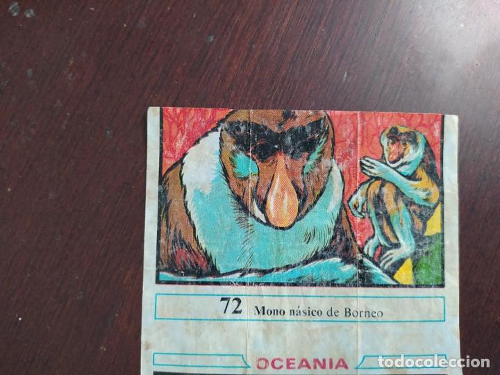 Coleccionismo cromos antiguos: OCEANIA CHICLE DUNKIN 72 - Foto 1