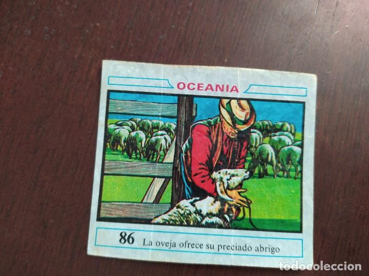 Coleccionismo cromos antiguos: OCEANIA CHICLE DUNKIN 86 - Foto 1