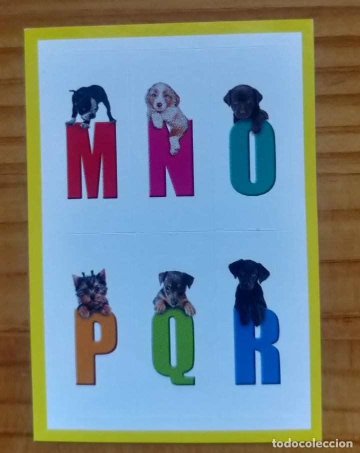 Coleccionismo cromos antiguos: Cromo n&deg; LN3 Amici Cucciolotti 2017 - Foto 1