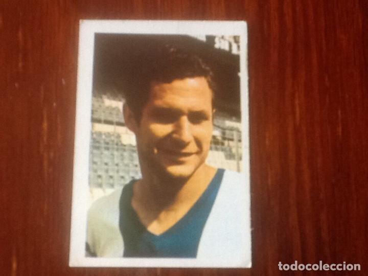 Collectable Antique Stickers: BAENA HERCULES N&deg;84 FHER 1980 1981 80 81