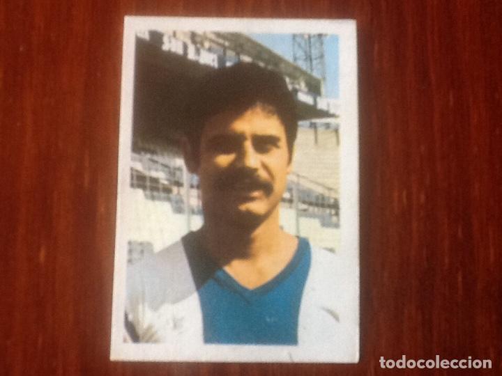 Collectable Antique Stickers: ERNESTO HERCULES N&deg;87 FHER 1980 1981 80 81