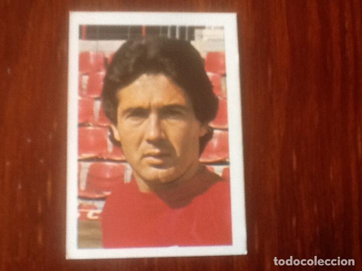 Collectable Antique Stickers: SEBASTIA MURCIA N&deg;96 FHER 1980 1981 80 81