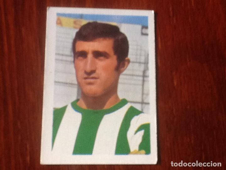 Collectable Antique Stickers: BIZCOCHO BETIS N&deg;113 FHER 1980 1981 80 81