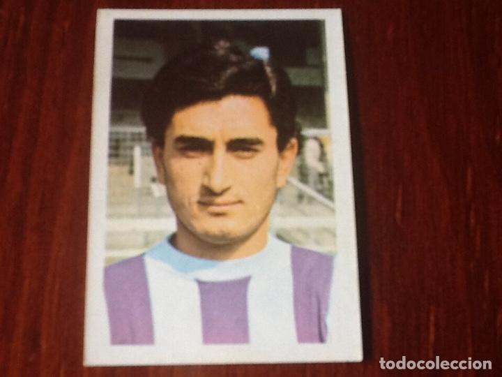 Collectable Antique Stickers: CONDE VALLADOLID N&deg;222 FHER 1980 1981 80 81