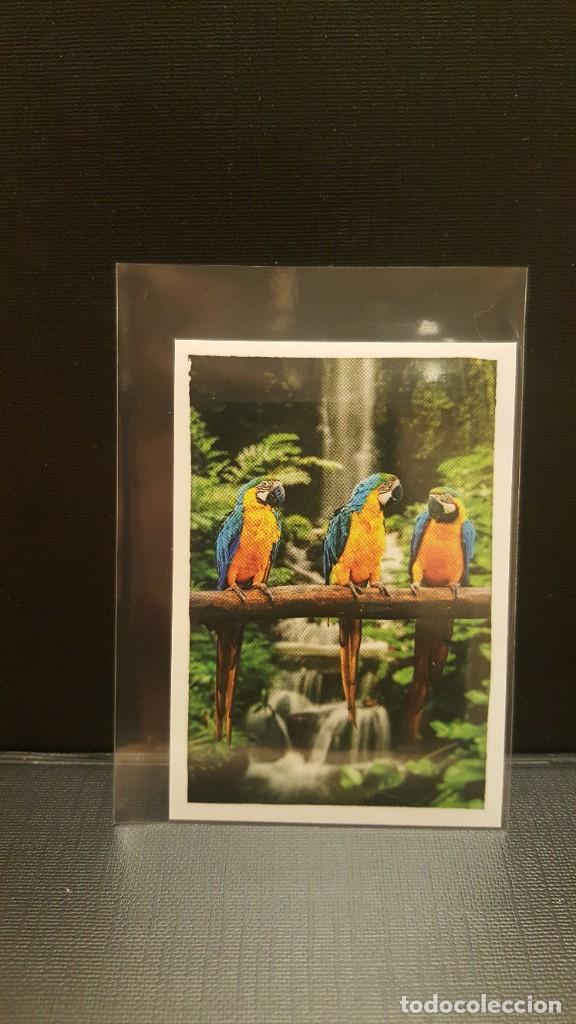 Coleccionismo cromos antiguos: PANINI ANIMALES 2020 - N&ordm; 34 - Foto 1