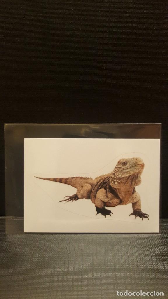 Coleccionismo cromos antiguos: PANINI ANIMALES 2020 - N&ordm; 40 - Foto 1
