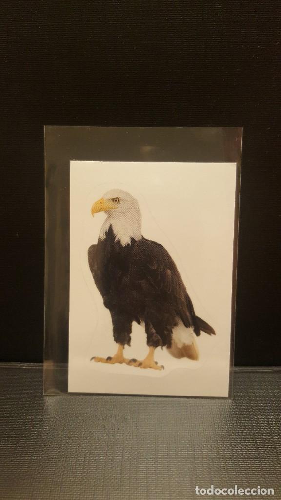 Coleccionismo cromos antiguos: PANINI ANIMALES 2020 - N&ordm; 43 - Foto 1