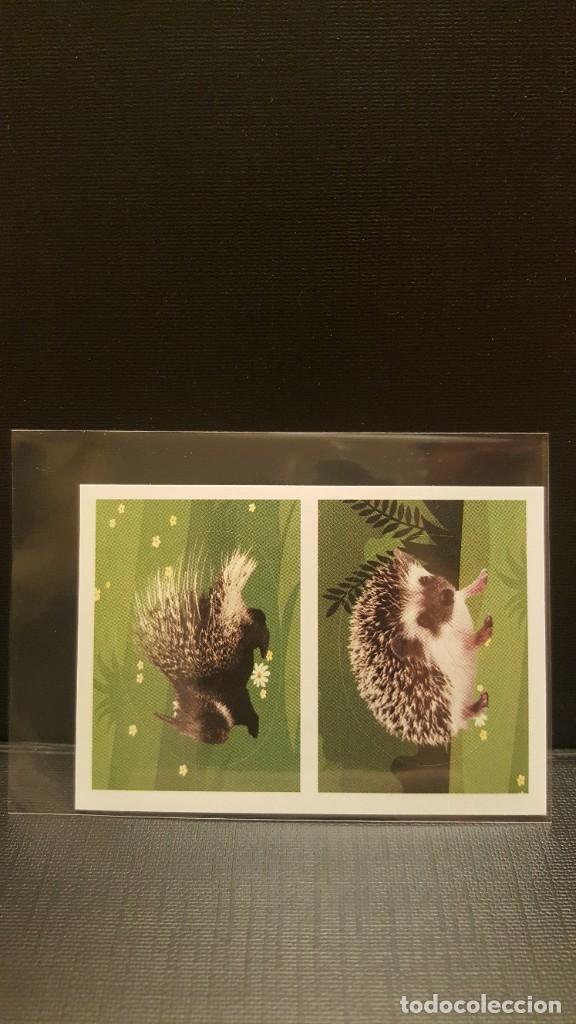 Coleccionismo cromos antiguos: PANINI ANIMALES 2020 - N&ordm; 49 - Foto 1