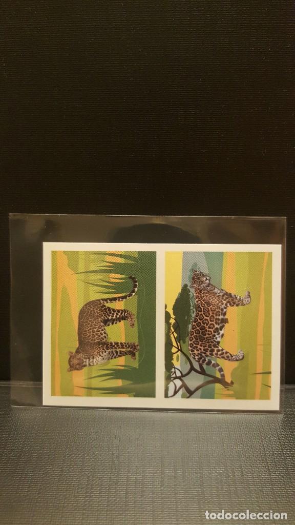 Coleccionismo cromos antiguos: PANINI ANIMALES 2020 - N&ordm; 53 - Foto 1