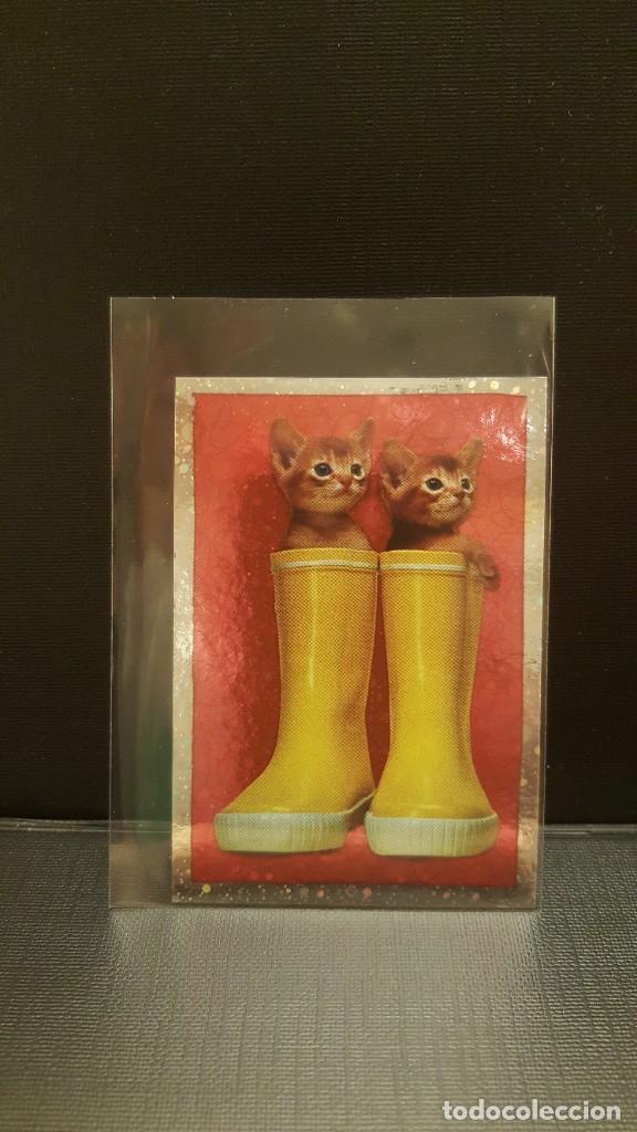 Coleccionismo cromos antiguos: PANINI ANIMALES 2020 - N&ordm; 63 - Foto 1