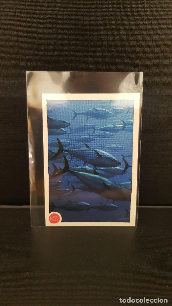 Coleccionismo cromos antiguos: PANINI ANIMALES 2020 - N&ordm; 90 - Foto 1