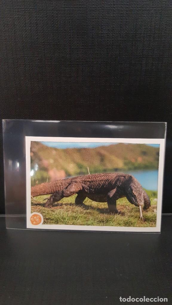 Coleccionismo cromos antiguos: PANINI ANIMALES 2020 - N&ordm; 110 - Foto 1