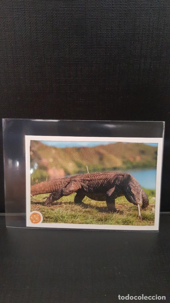 Coleccionismo cromos antiguos: PANINI ANIMALES 2020 - N&ordm; 110 - Foto 1