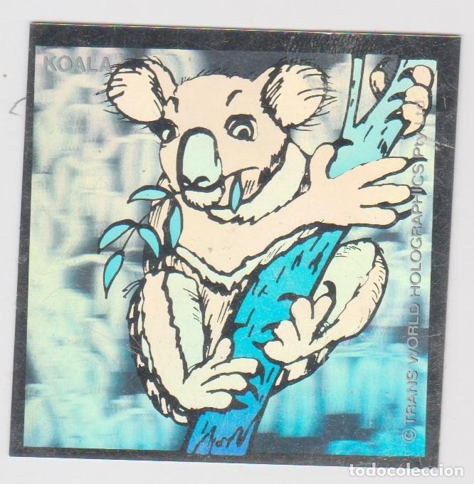 Coleccionismo cromos antiguos: TRANS WORLD HOLOGRAPHICS -- KOALA - Foto 1