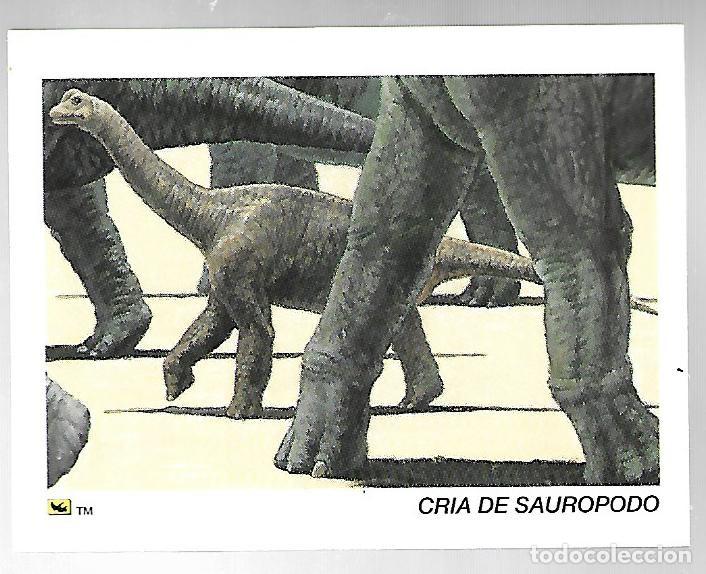 Coleccionismo Cromos antiguos: CROMO N&ordm; 33 DE LA COLECCION DINOCARDZ DE 1993