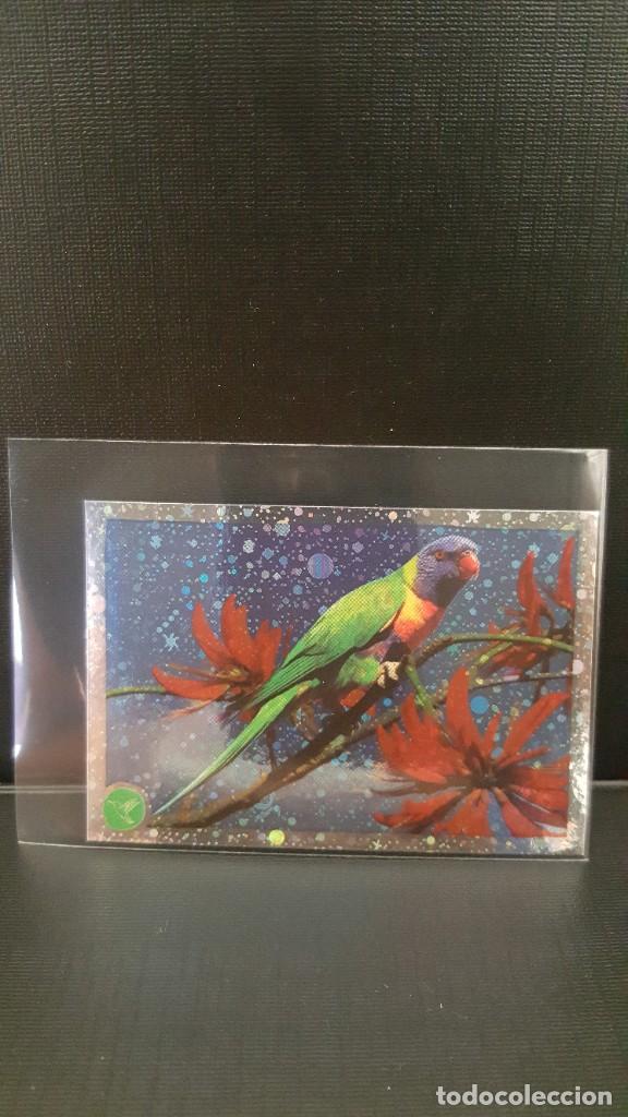 Coleccionismo cromos antiguos: PANINI ANIMALES 2020 - N&ordm; 122 - Foto 1