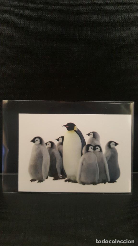 Coleccionismo cromos antiguos: PANINI ANIMALES 2020 - N&ordm; 124 - Foto 1