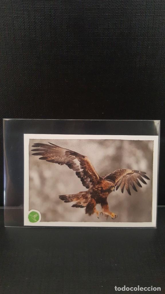 Coleccionismo cromos antiguos: PANINI ANIMALES 2020 - N&ordm; 125 - Foto 1