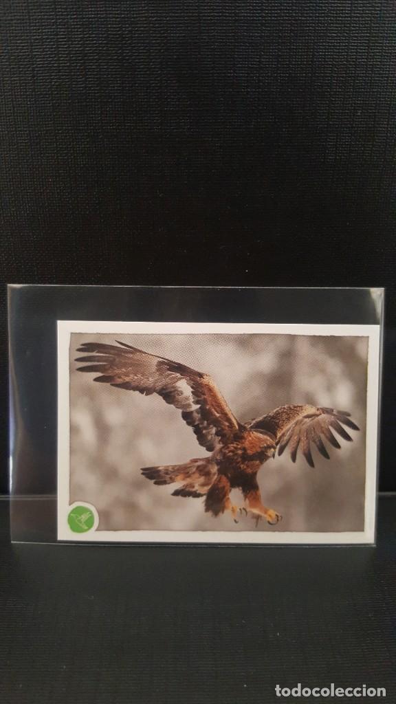 Coleccionismo cromos antiguos: PANINI ANIMALES 2020 - N&ordm; 125 - Foto 1