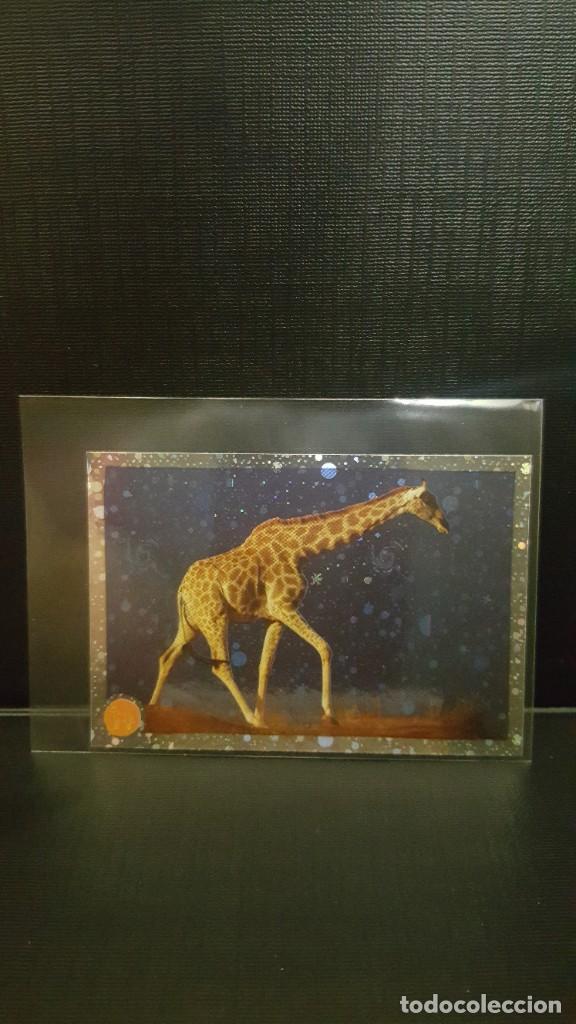 Coleccionismo cromos antiguos: PANINI ANIMALES 2020 - N&ordm; 152 - Foto 1