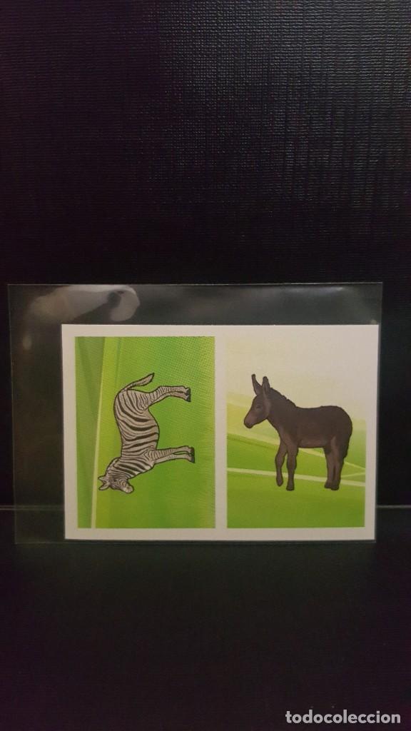 Coleccionismo cromos antiguos: PANINI ANIMALES 2020 - N&ordm; 166 - Foto 1