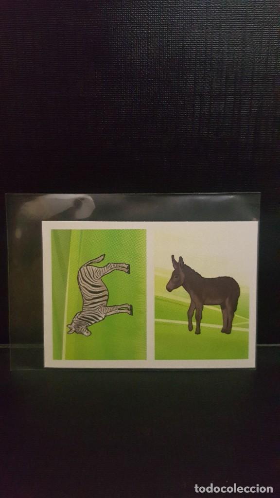 Coleccionismo cromos antiguos: PANINI ANIMALES 2020 - N&ordm; 166 - Foto 1