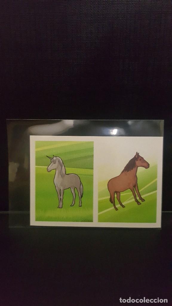 Coleccionismo cromos antiguos: PANINI ANIMALES 2020 - N&ordm; 172 - Foto 1