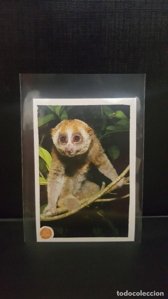 Coleccionismo cromos antiguos: PANINI ANIMALES 2020 - N&ordm; 199 - Foto 1