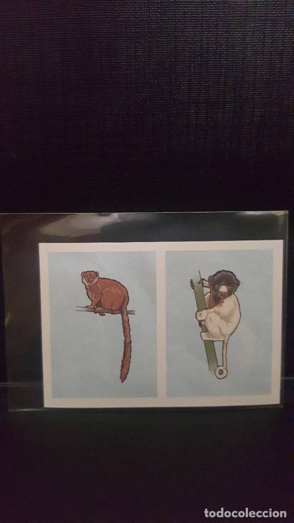 Coleccionismo cromos antiguos: PANINI ANIMALES 2020 - N&ordm; 200 - Foto 1