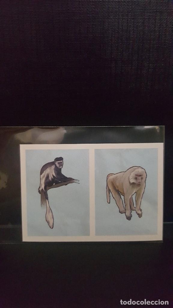 Coleccionismo cromos antiguos: PANINI ANIMALES 2020 - N&ordm; 201 - Foto 1