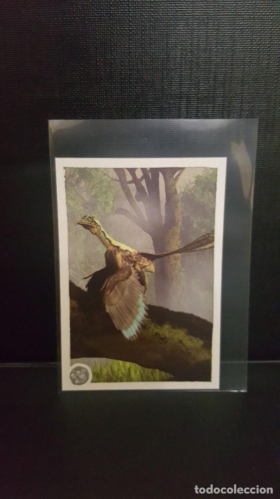Coleccionismo cromos antiguos: PANINI ANIMALES 2020 - N&ordm; 269 - Foto 1