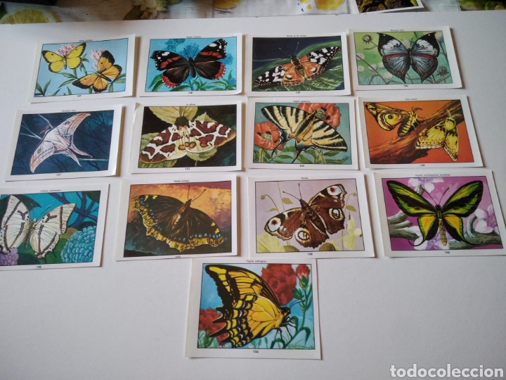 Coleccionismo cromos antiguos: Lote 13 cromos MARIPOSAS - Foto 1