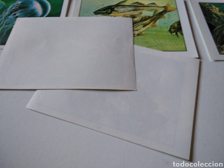 Coleccionismo cromos antiguos: Lote de 19 cromos peces - Foto 5