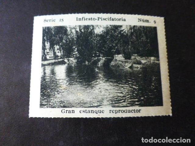 Collezionismo Figurine antiche: INFIESTO ASTURIAS PISCIFACTORIA ANTIGUO CROMO A&Ntilde;OS 30