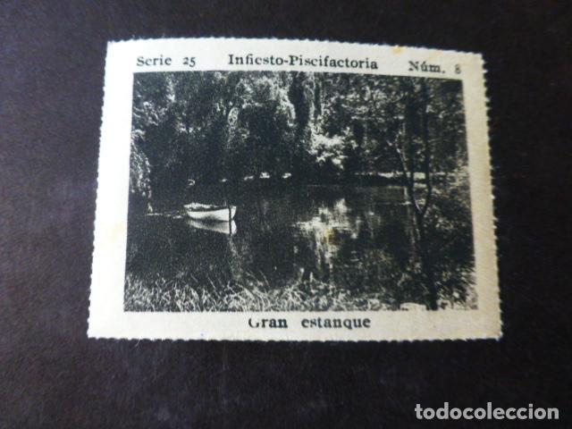 Sammeln alte Sammelbilder: INFIESTO ASTURIAS PISCIFACTORIA ANTIGUO CROMO A&Ntilde;OS 30
