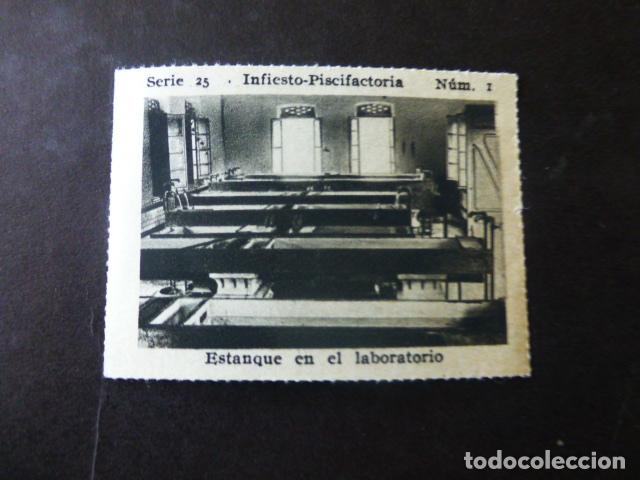 Colecionismo Cromos antigos: INFIESTO ASTURIAS PISCIFACTORIA ANTIGUO CROMO A&Ntilde;OS 30